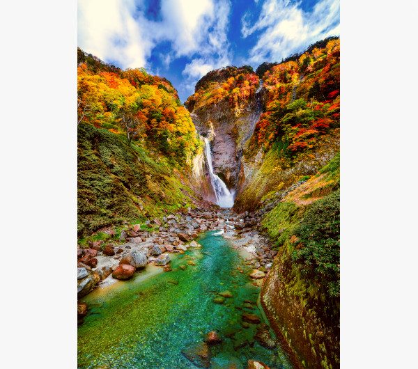 he Sound of Colorful Autumn, MIZUNO Takao