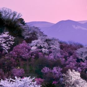Hanamiyama,