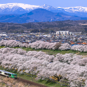 A Symphonic Grand View, SUZUKI Yuji