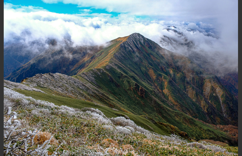 オジカ沢の尾根