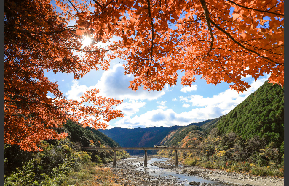 四万十川燃ゆる季節