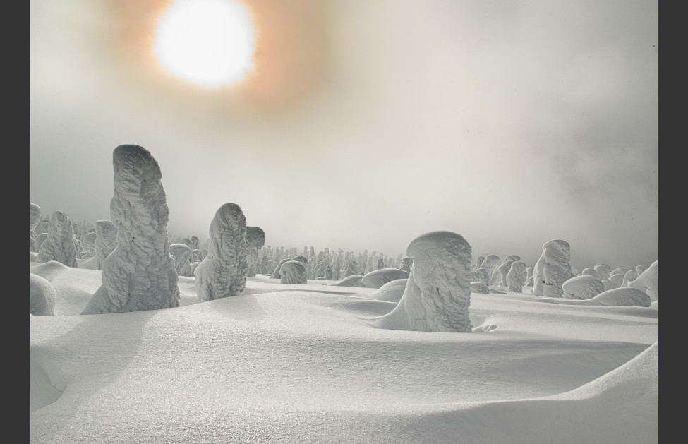 一瞬の樹氷群像