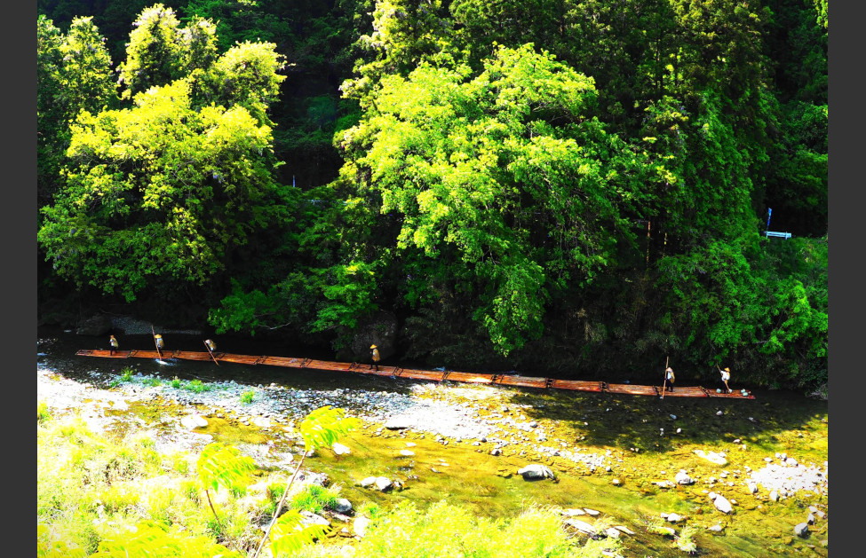 新緑の小田川を行く
