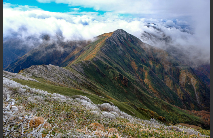 オジカ沢の尾根