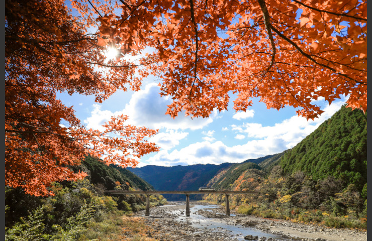 四万十川燃ゆる季節
