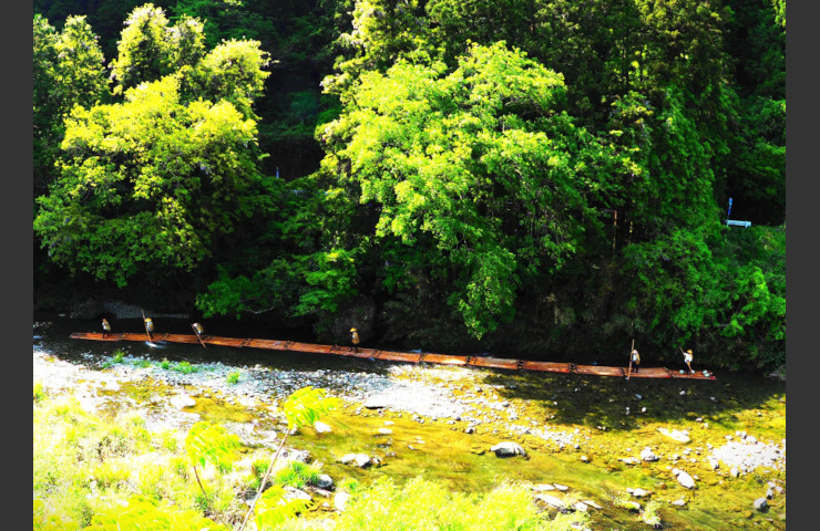 新緑の小田川を行く