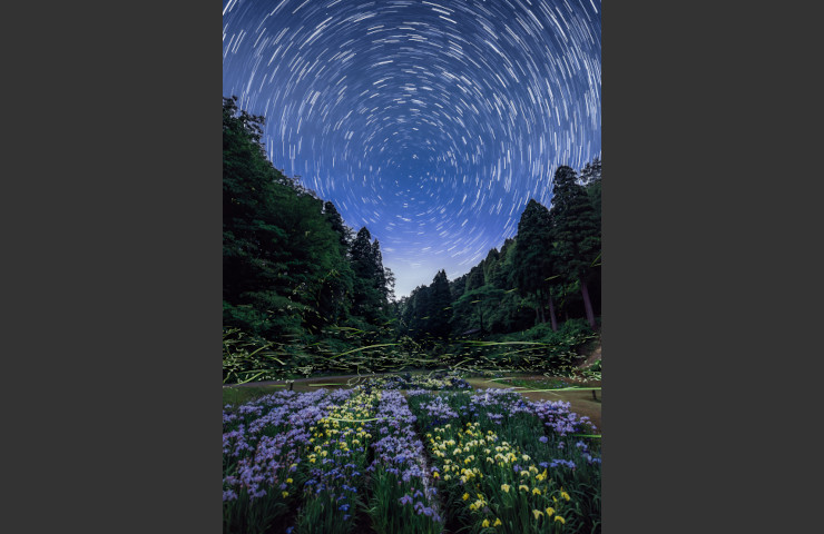 ホタル舞う花園