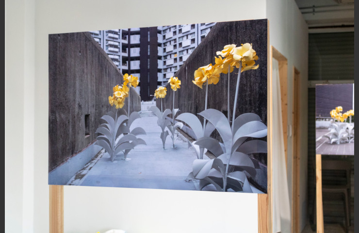 life, time and flowers